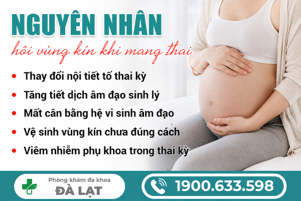 Hình ảnh minh họa